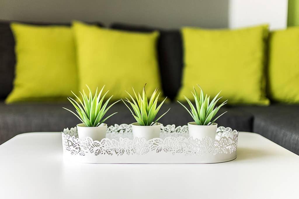 Brand New Stylish 2 Bedroom Apartment Athen Eksteriør billede