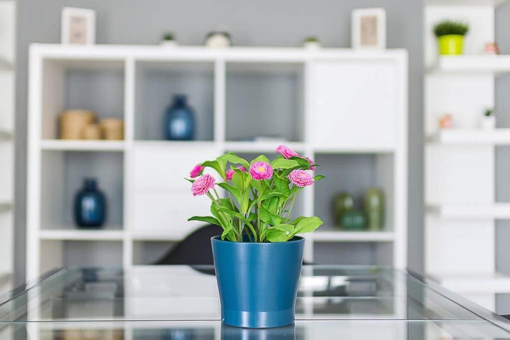 Brand New Stylish 2 Bedroom Apartment Athen Eksteriør billede